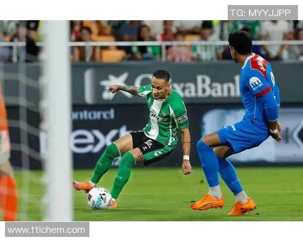 马德里竞技引进巴西新星，助力球队冲刺西甲冠军